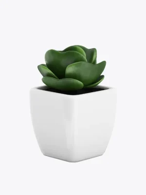 product-image-9_optimized Sollicitudin Aliquam